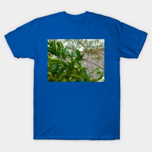 After the rain T-Shirt